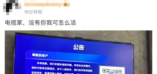 知名App暫停服務(wù) 技術(shù)服務(wù)中斷的沖擊與反思