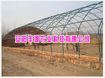 花卉大棚 廠家、種植價格與成本詳解